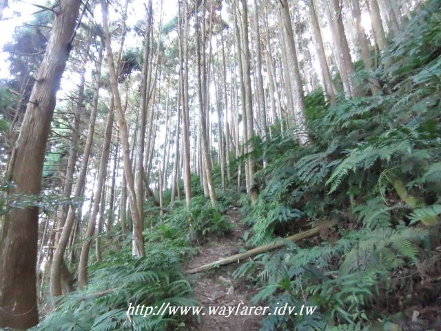 2018 12 15 新竹五峰 西油羅山來回 油羅山一上二下登山口o形by 徒步mark 旅聯網