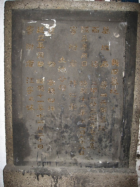 調整大小植物 014