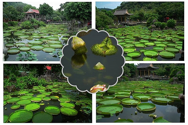 20374650_1629382013748006_6231099338889905188_n