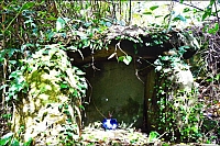 山里5鄰木屐寮30號石棚