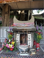 坪頂下城土地公