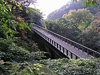 天母水管路淨水廠日式古橋