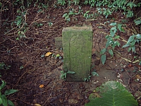 侯硐、小粗坑古道