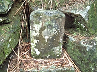 石碇大格門古道(2)