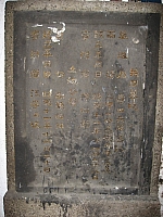 調整大小植物 014