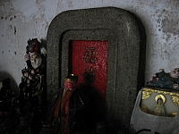 調整大小植物 017