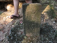 調整大小0726白雞 032