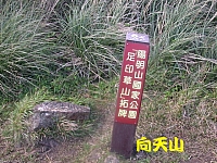 向天山