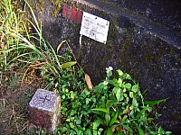 二格山主峰678m[url=http://blog.xuite.net/lee325/mountain/10150223]早安登山[/url]