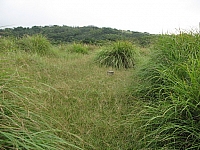 高頂山 照片所有人：蕭朗