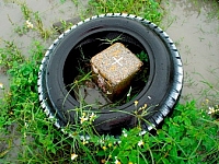 宜蘭 五結 宏國一等三角點