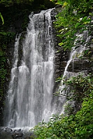 陽明山腳下的法蘭克上傳簡圖相片