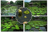 20374650_1629382013748006_6231099338889905188_n