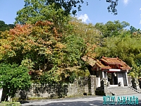 P1990248 (3)