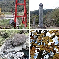 245873880_l