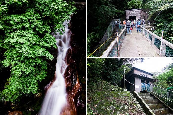 雨後見晴的天母水道祭 2 2 By 需仁遊記 旅聯網